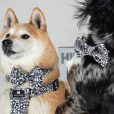 Bow Wow Haus Dog Bow Tie by Hiro And Wolf